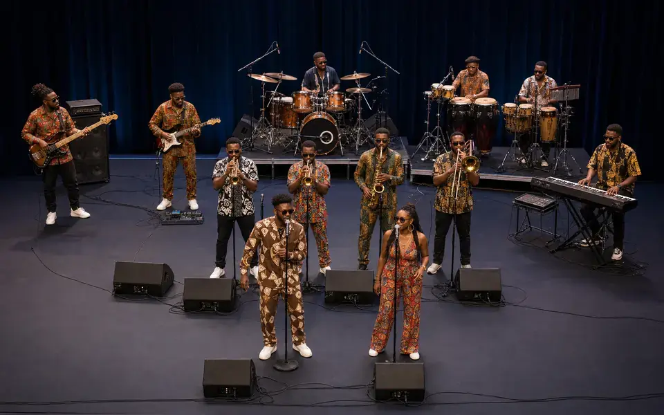 Afrobeat 11-Piece Stage Plot Template with Horn Section live stage setup preview
