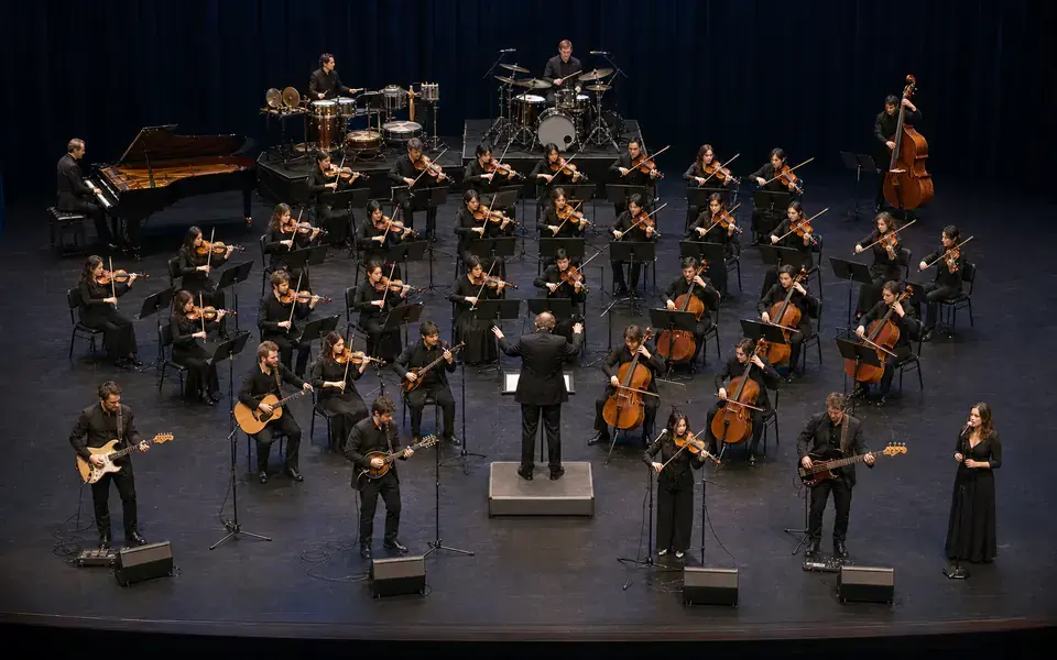 Live Band with Chamber Orchestra Stage Plot Template live stage setup preview