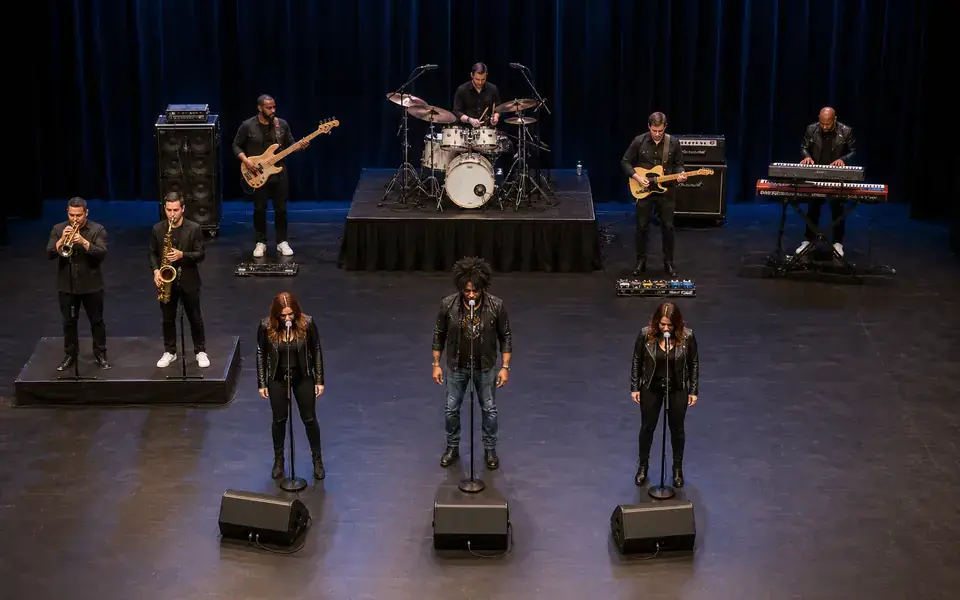 Nine Piece Cover Band with Horns Stage Plot Template live stage setup preview